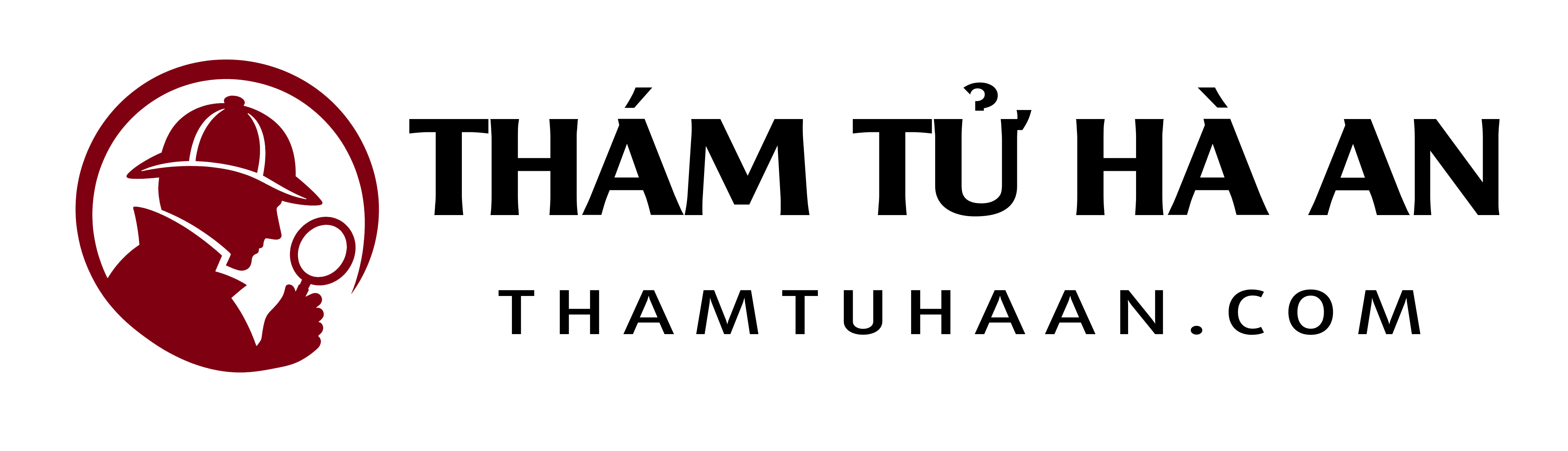 Thám Tử Hà An